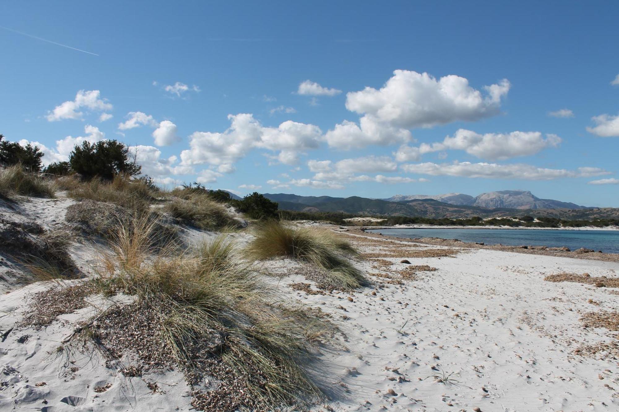 Villetta 1.2 Km Dalla Spiaggia Budoniaffitti Tanaunella Exterior foto