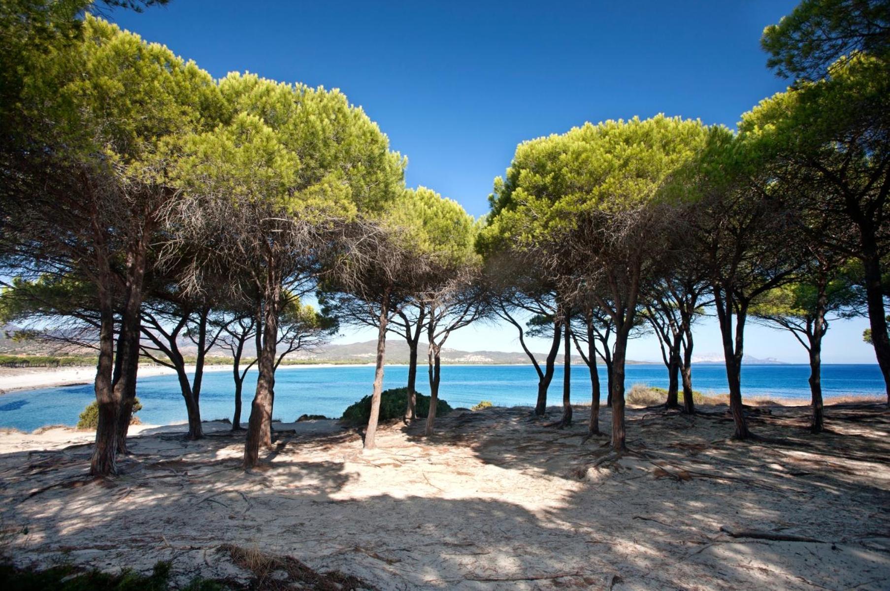 Villetta 1.2 Km Dalla Spiaggia Budoniaffitti Tanaunella Exterior foto